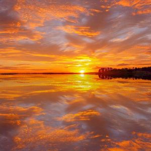 精品人妻系列无码
